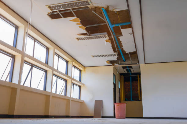 Best Water damage restoration near me  in Mercerville, NJ