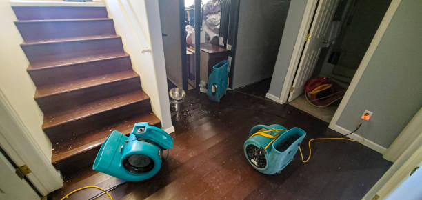 Best Professional water damage repair  in Mercerville, NJ
