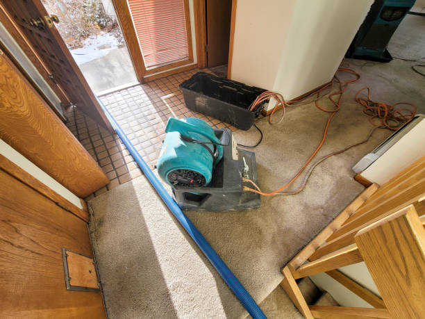 Best Water damage mitigation services  in Mercerville, NJ