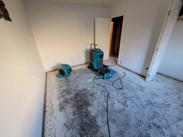 Best Water damage cleanup near me  in Mercerville, NJ