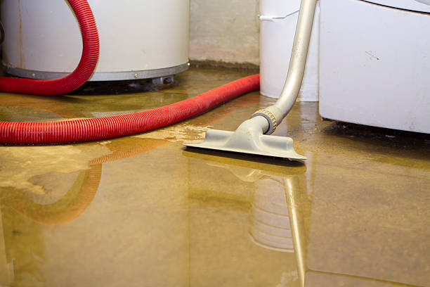 Best Water damage cleanup near me  in Mercerville, NJ
