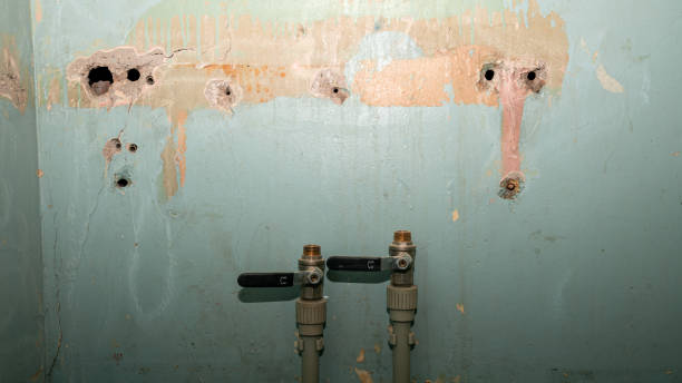Best Ceiling water damage repair  in Mercerville, NJ
